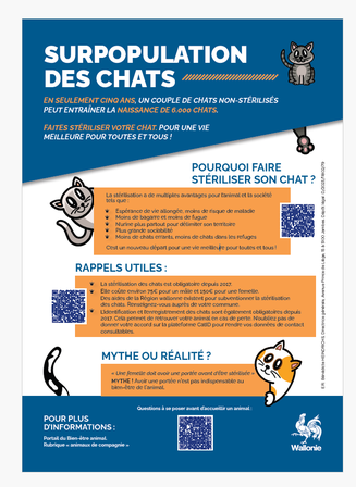 Surpopulation des chats - stérilisation