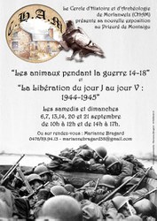 Expositions "Les animaux pendant la grande Guerre" & "La Libération du jour J au jour V"