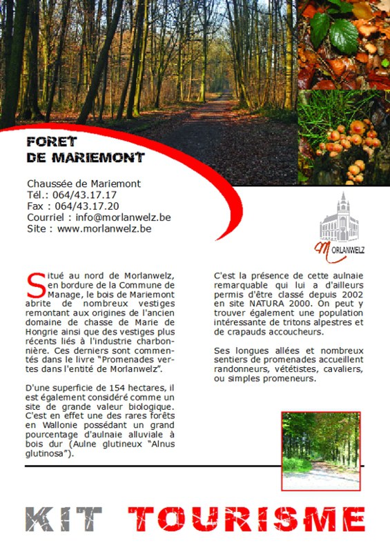 Forêt de Mariemont
